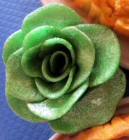 /album/la-magie-des-delices/a11-jpg/